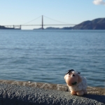 Sheeps et Golden Gate