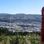 Mont Victoria, Wellington