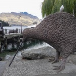 Un kiwi géant !