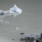 Icebergs sur le lac Tasman (et Julien !)