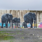 Des éléphants dans la ville