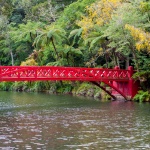 Poet Bridge - Pukekura Park