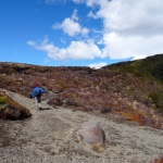 Promenade dans le Tongariro National Park