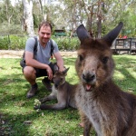 Photo-bomb kangourou