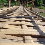 Pont en bambou